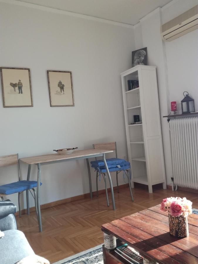 Mia'S Seaside Penthouse - Panoramic View Apartment Piraeus Luaran gambar